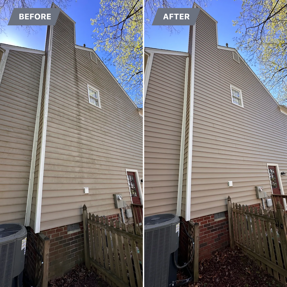 All Photos for LeafTide Solutions in Richmond, VA