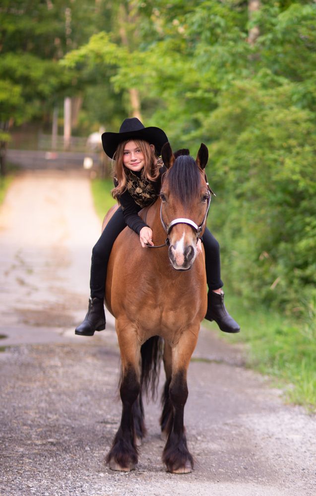 Lessons for Blue Stone Farm in Wantage, NJ