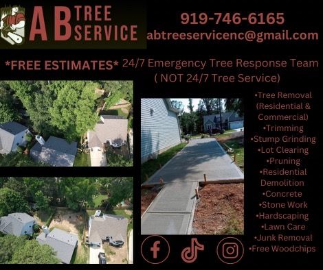 All Photos for AB Tree Service in Raleigh, NC