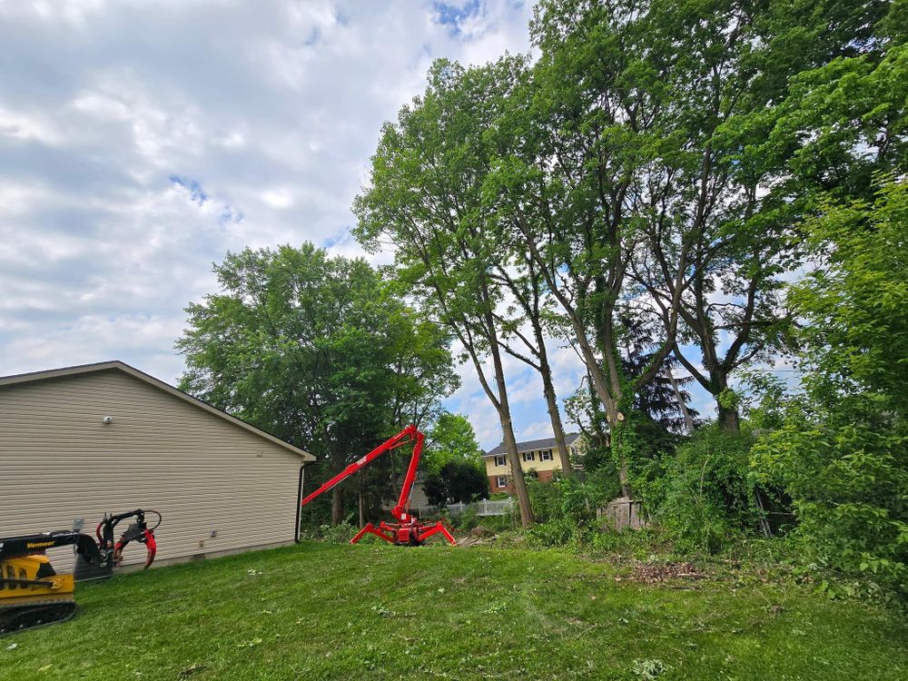 All Photos for F & F Tree Service in Beavercreek, OH