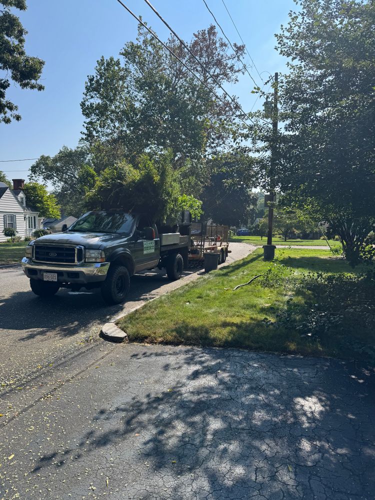 All Photos for Adams Landscaping in Springfield, MA