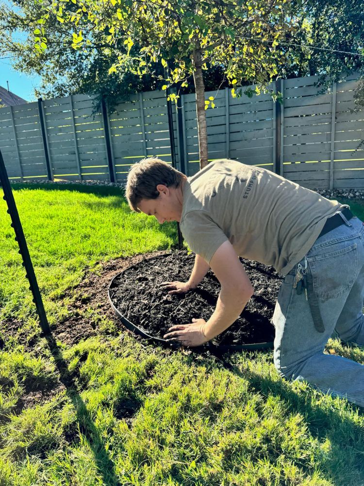 Our Tree Replacement service offers homeowners the opportunity to remove old or damaged trees and replace them with healthy, mature trees to enhance their property's beauty and value. for Camerons Stump Grinding & Tree Services in Austin, TX