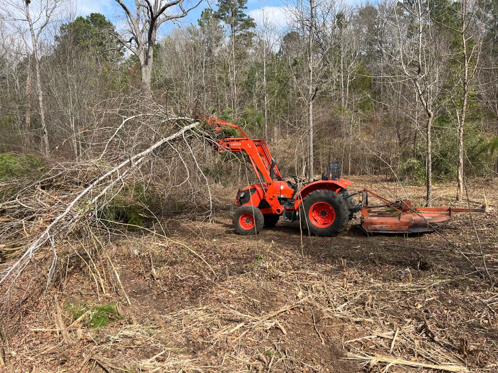 All Photos for JC Land and Tree Service in Kilgore, TX