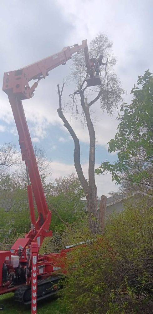 Enhance your home's beauty and safety with our professional tree trimming service. We expertly prune branches, ensuring healthy growth and preventing potential hazards, making your landscape vibrant and secure year-round. for Lawn Ranger Yard And Tree Service in Ottumwa, IA