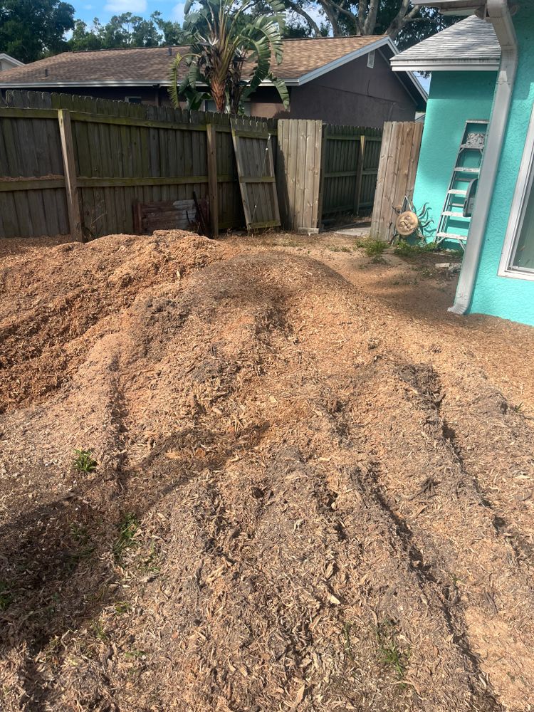 All Photos for Busy Beaver Stump Removal, Inc in Clearwater, FL