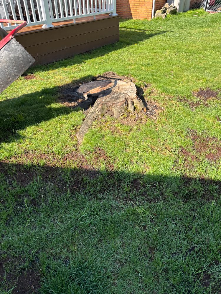 All Photos for Dean's Stump Removal in Youngstown, OH