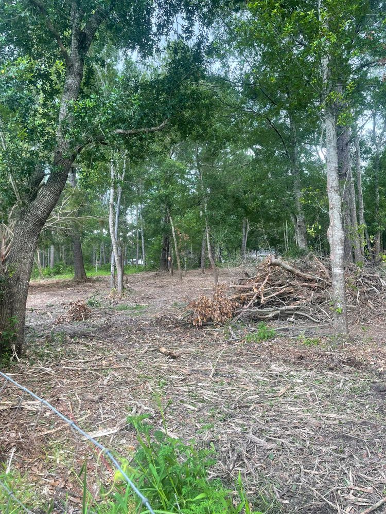 Land Clearing for Dirty South Land Management  in Robertsdale, AL