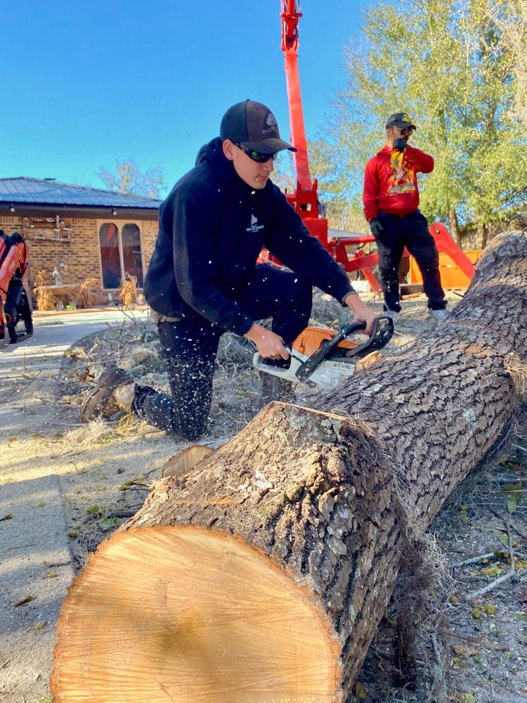 All Photos for Top Notch Tree Experts in Orange Park, FL