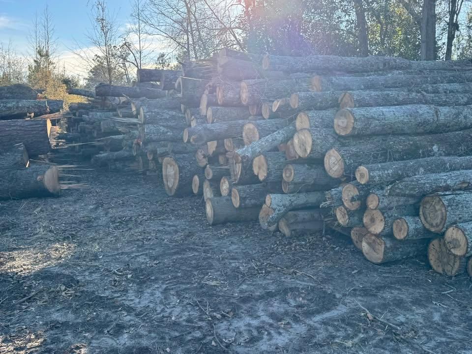 All Photos for Clean Acres in Hartsville, SC