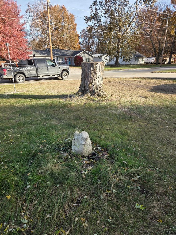 All Photos for Lawn Ranger Yard And Tree Service LLC in Ottumwa, IA