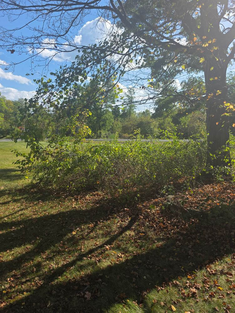 All Photos for Sweet Scapes in Ballston Spa, NY