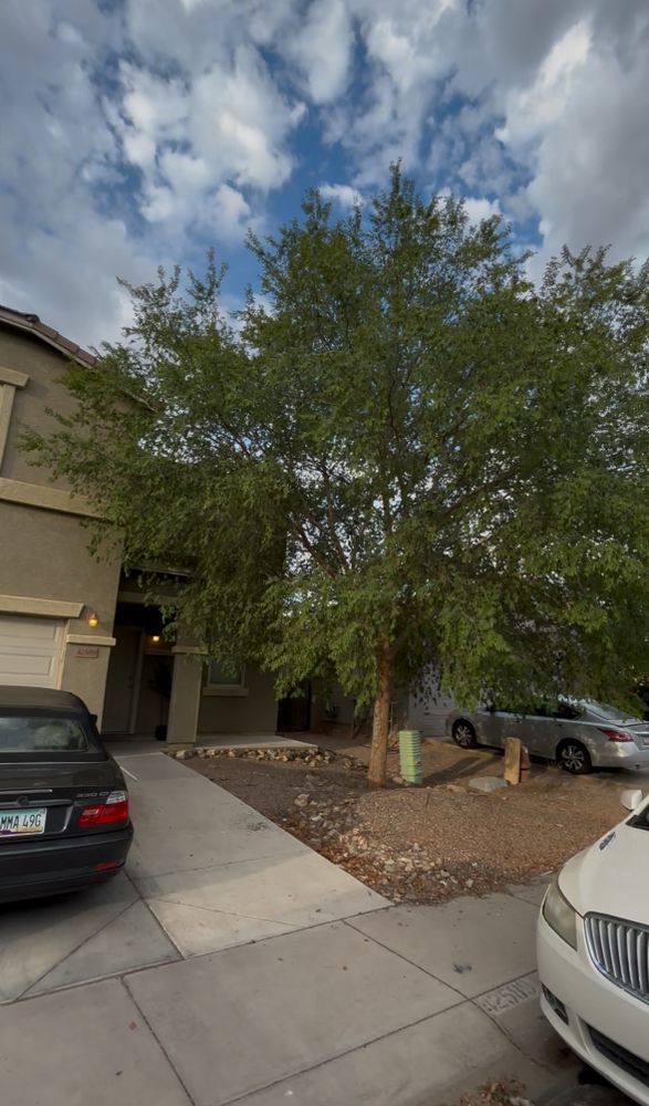 All Photos for Good Hands Landscape in Maricopa, AZ