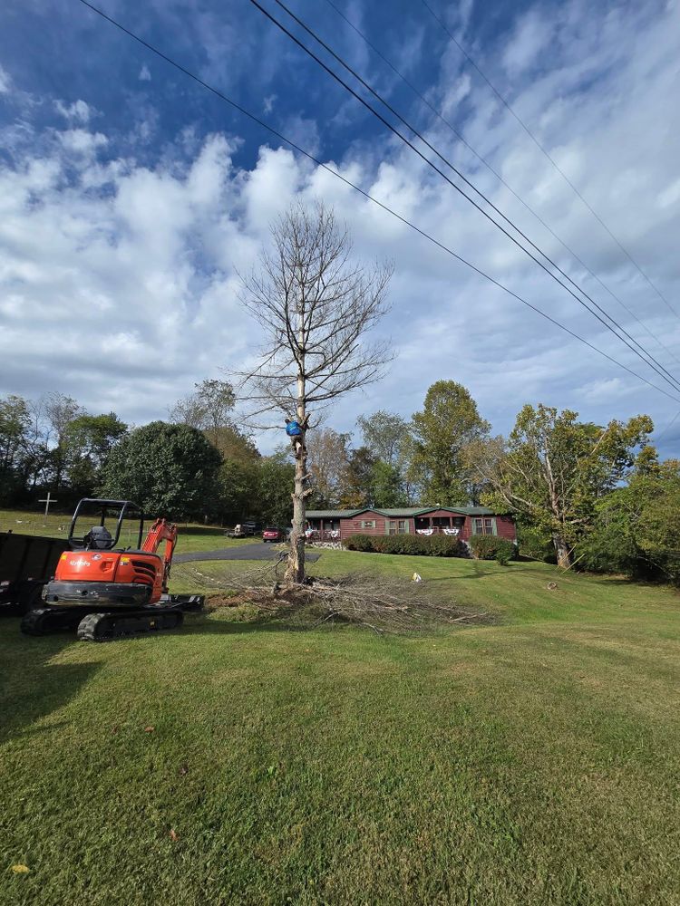 All Photos for M&L Lumber and Excavating in Jonesborough, TN