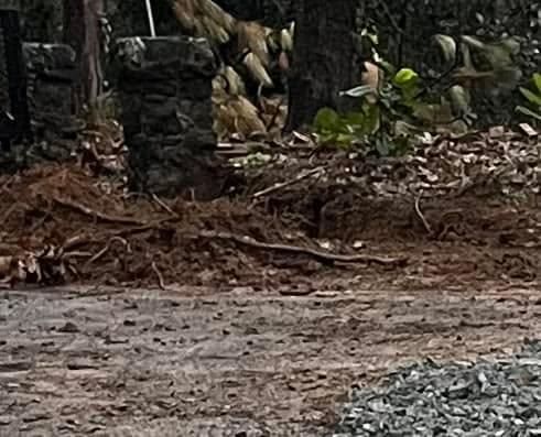 All Photos for Dream Cuts Landscaping and Lawn Care LLC in Gastonia, NC