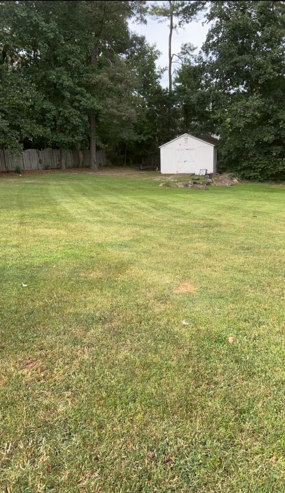 All Photos for WD Lawn Services in Loganville, GA