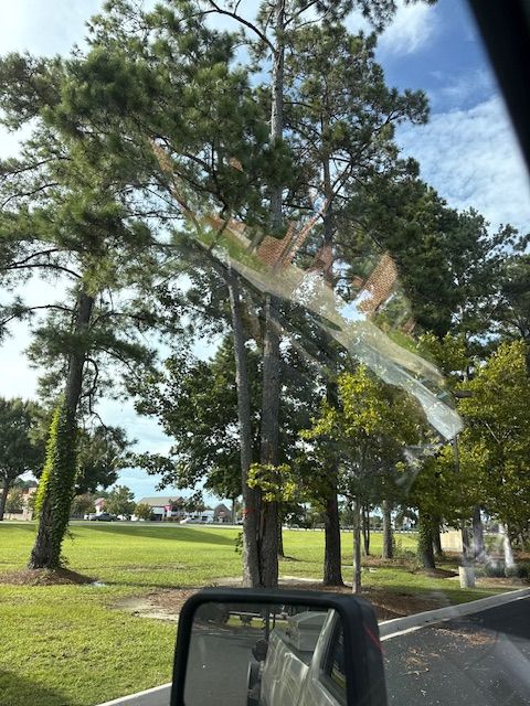 All Photos for Hawkins Tree Service & Land Management in Richmond Hill, GA