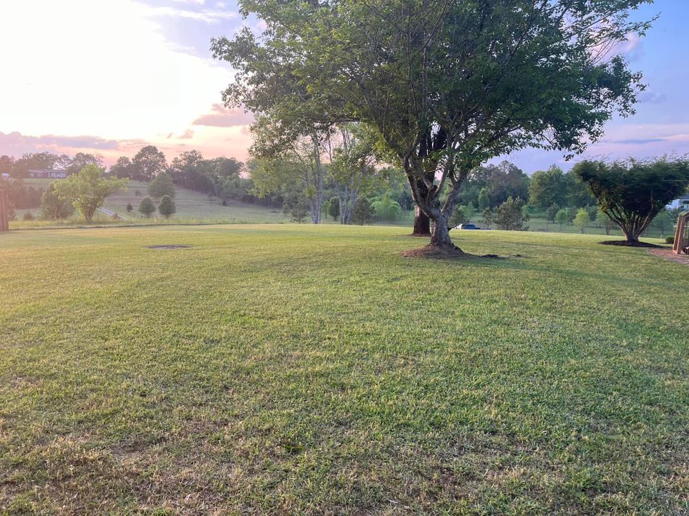 All Photos for Xtreme Landscaping & Lawn Care in Lincoln, AL