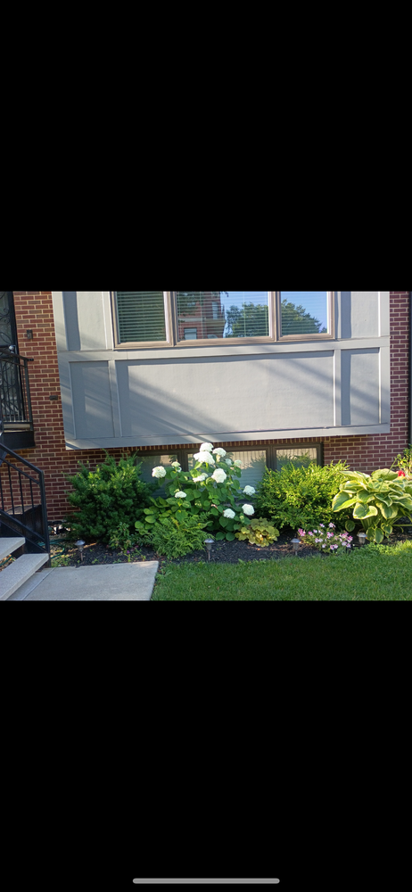 All Photos for Superior Lawn Care & Snow Removal LLC  in Chicago, IL