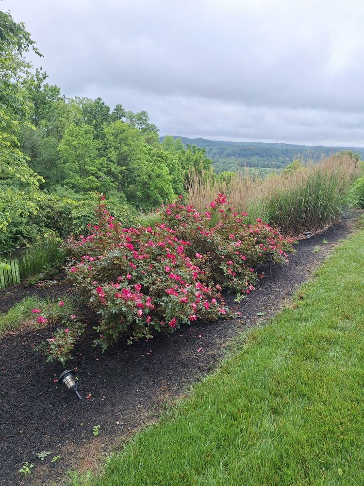 All Photos for Cincinnati’s Finest Landscape Services LLC in Cincinnati, OH