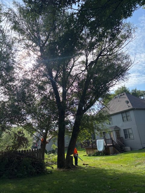 All Photos for Cross Family Tree Service in Kearney, MO