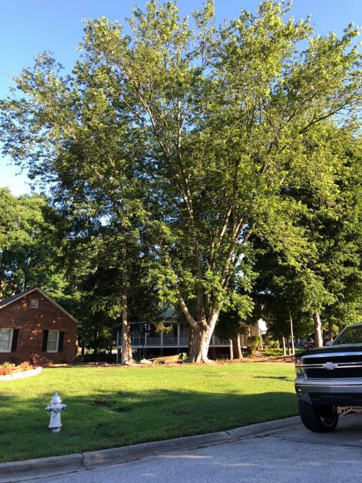 Enhance your landscape with our professional mulch installation service, which conserves moisture, suppresses weeds, and improves soil health while adding a polished look to your garden. for Falcon stump grinding Tree services in Loganville, GA