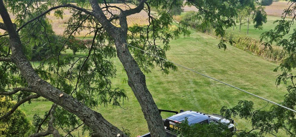 All Photos for Highborn Tree Service in Wheatfield, IN