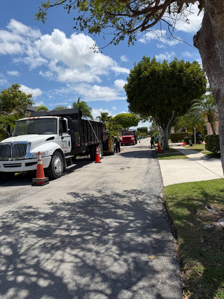 All Photos for Nurry Tree Services in Miami, FL