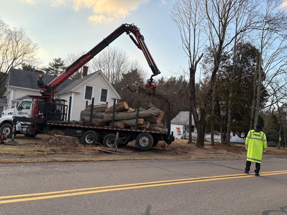 All Photos for Dwights Tree Service in Middleborough, MA