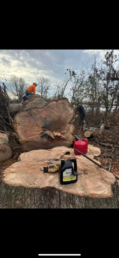 All Photos for Curtis Tree Service LLC in Hopkins County, KY