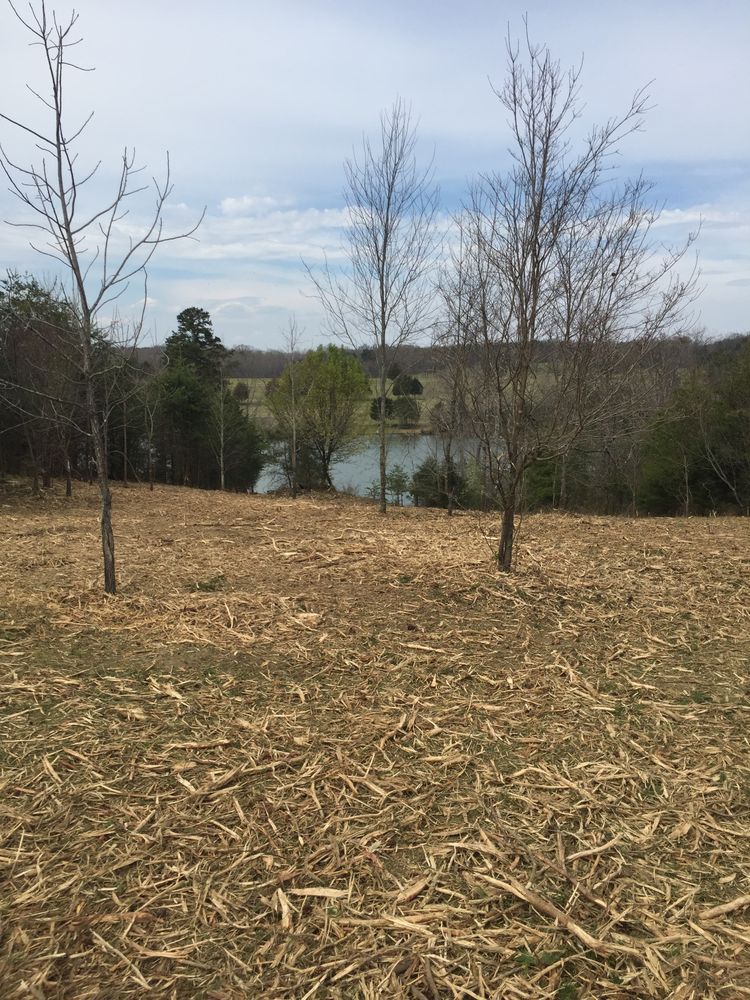 Great way to clear trails, openings and underbrush on your property. for Lanier Excavating LLC in Bedford County, VA