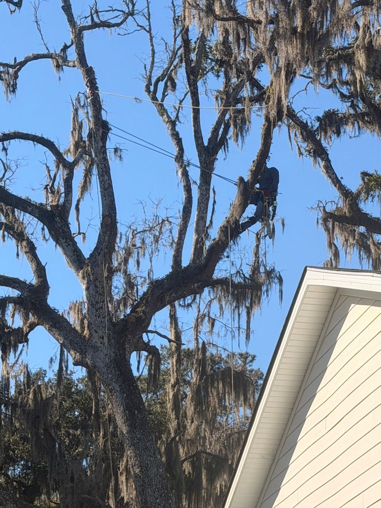 All Photos for Hawkins Tree Service & Land Management in Richmond Hill, GA