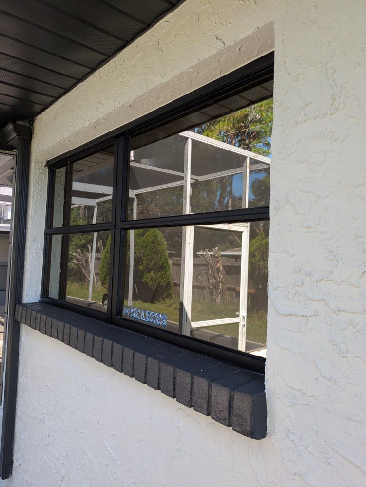 All Photos for Escorpio Painting in Tampa, FL