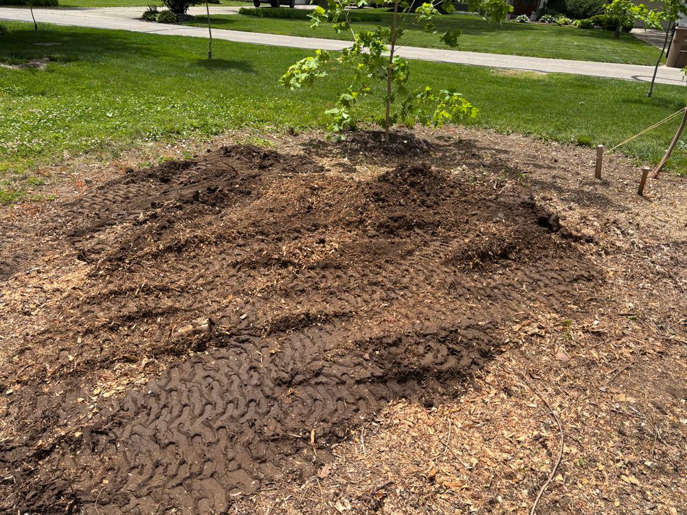 All Photos for Conrad's Stump Removal in Columbus, IN
