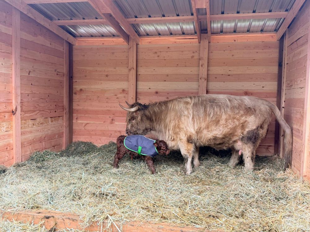 Fencing for Oats Equestrian Fencing LLC in Arlington, WA