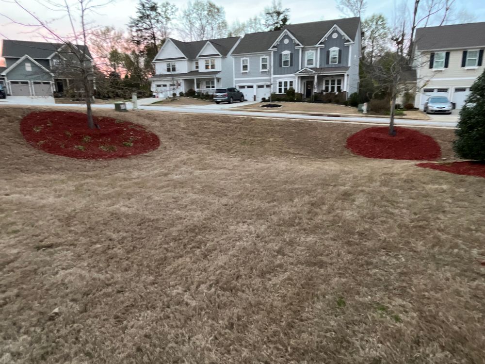 All Photos for Upstate Precision Landscaping in Moore, SC