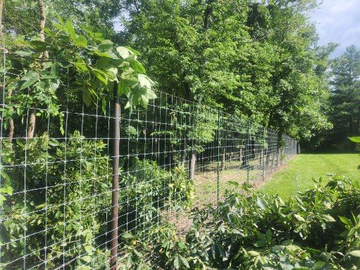 All Photos for Lawn Ranger Yard And Tree Service LLC in Ottumwa, IA