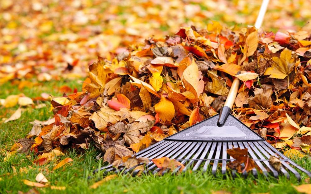 Our Fall and Spring Clean Up service includes raking leaves, removing debris, trimming bushes, and preparing your lawn for the changing seasons to maintain a beautiful landscape year-round. for Baboosic Tree & Landscape in Merrimack, NH