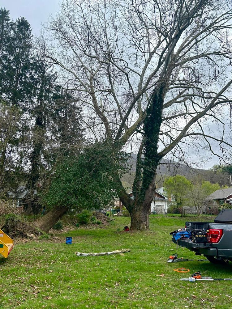 All Photos for NRV Tree Pro, LLC in Narrows, VA