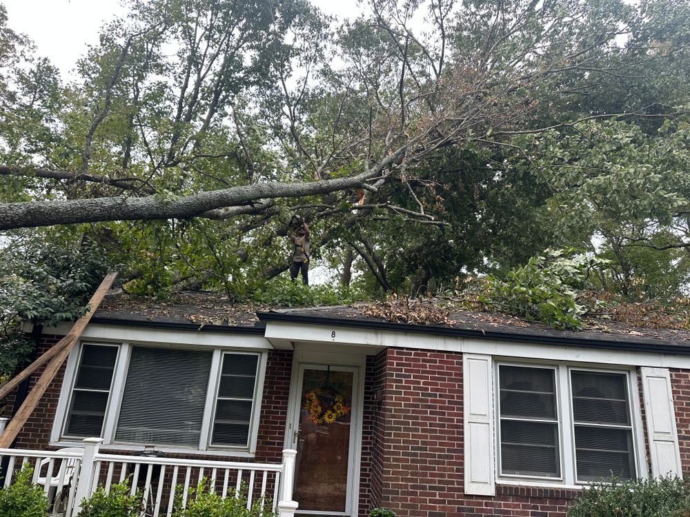 Tree Removal for Rescue Grading & Landscaping in Marietta, SC