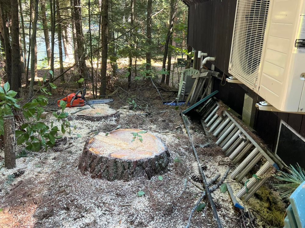 All Photos for Abair Tree Service in Weare, NH