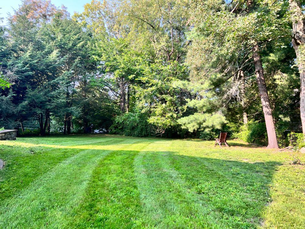 Lawn Care for LJ Lawn & Property Maintenance, Inc. in Cold Spring, New York