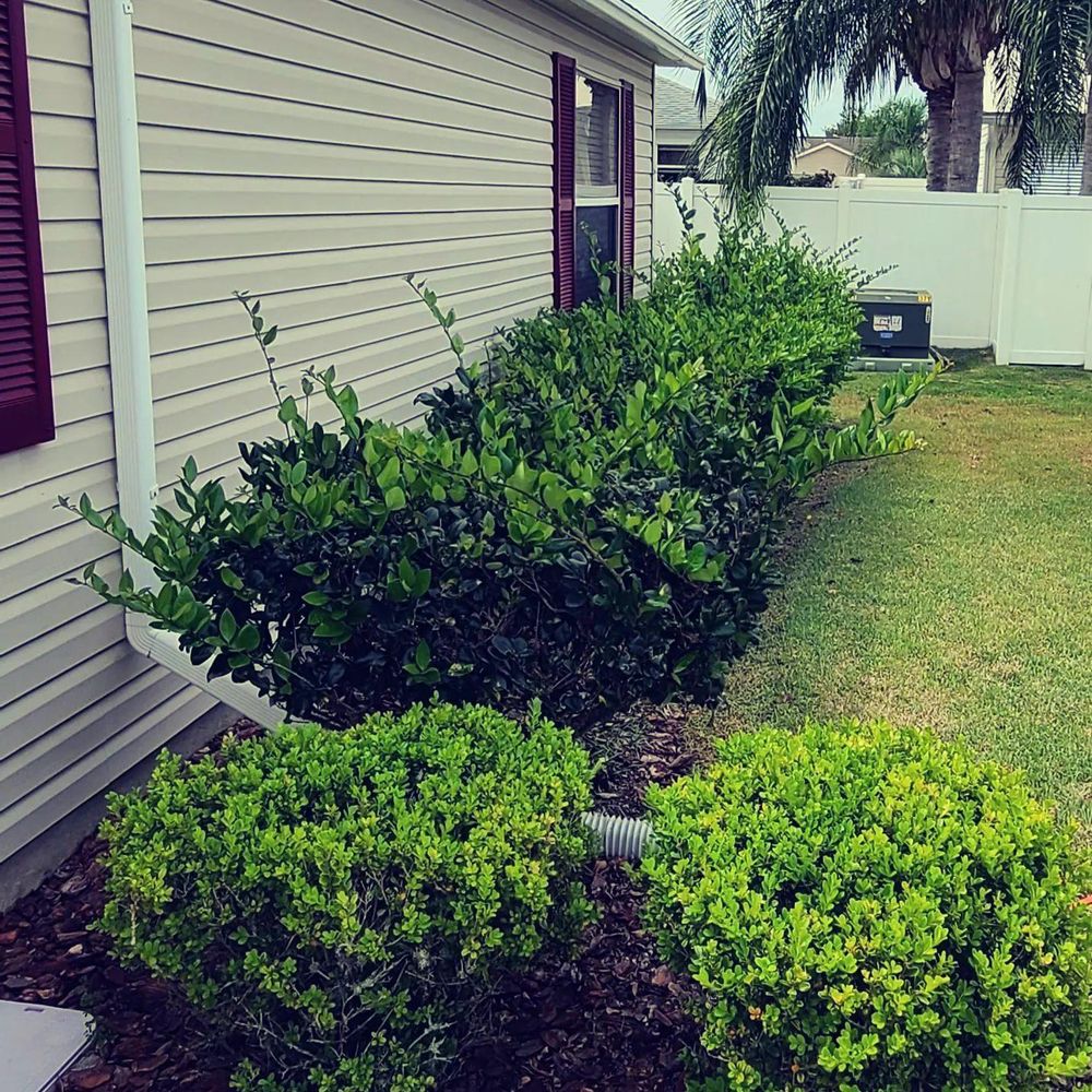 All Photos for TopNotch Landscaping Services  in The Villages, FL