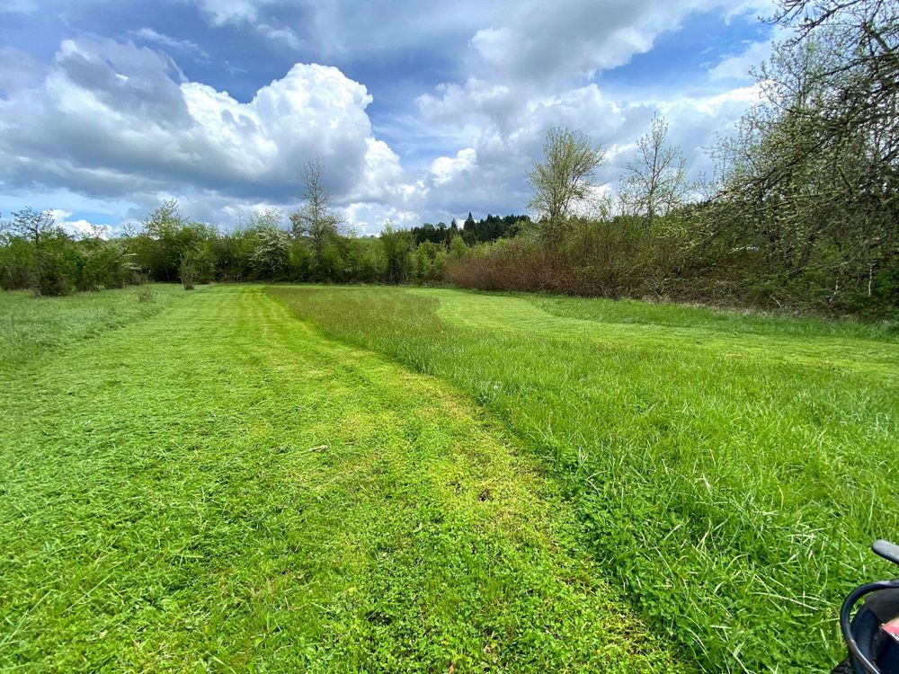 All Photos for Willamette Landscaping and Tree Services in Albany, OR