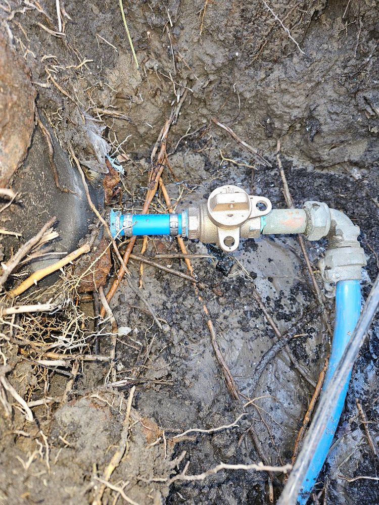 All Photos for Paradise Home Services LLC in Charleston, SC