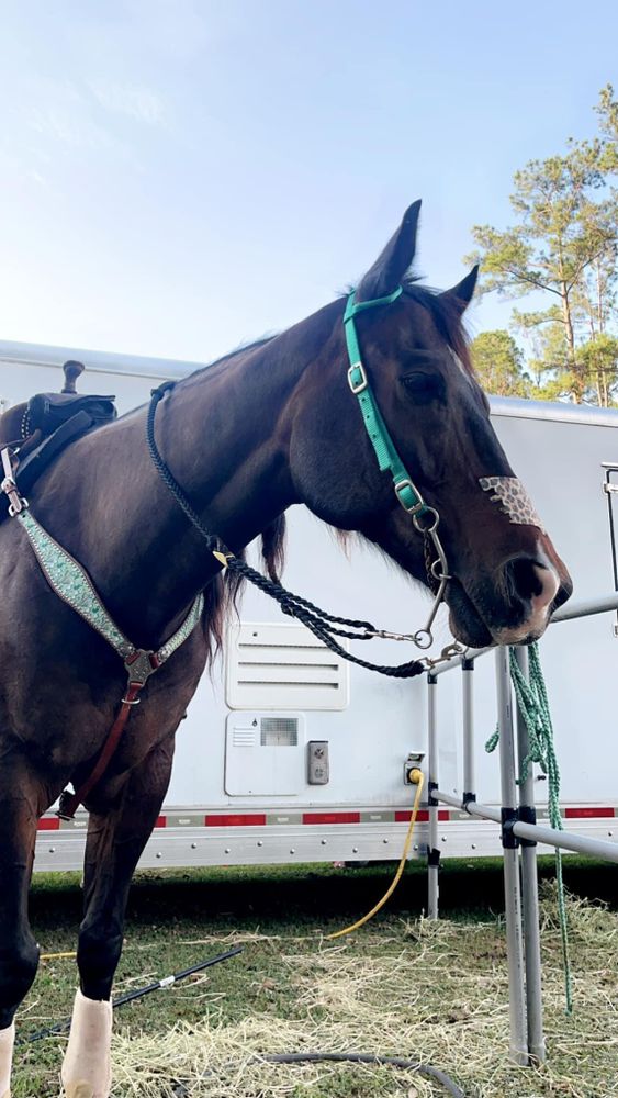 Barns for Florida Native Equestrian Services in Polk, FL