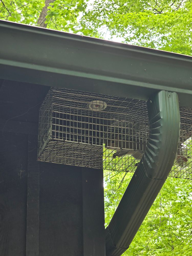 All Photos for The Handyman Viking in Dandridge, TN