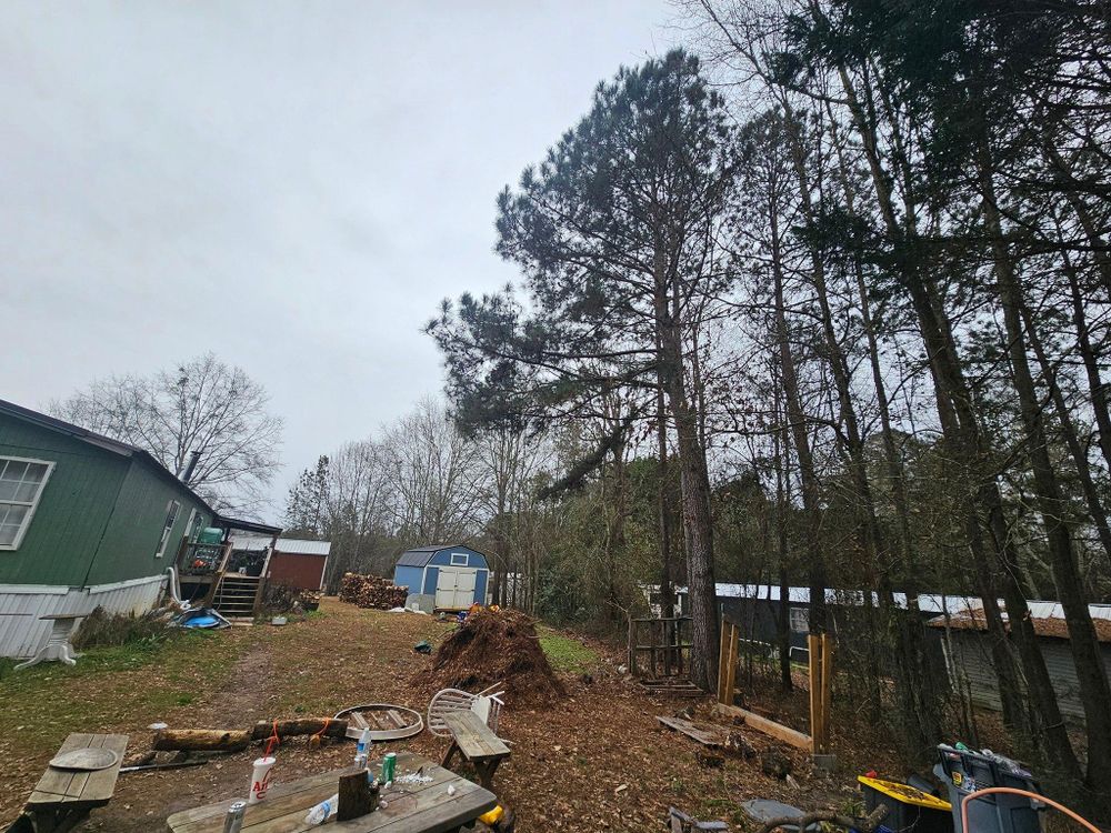 All Photos for O'Connor Clearing and Hauling LLC in Anderson County, SC