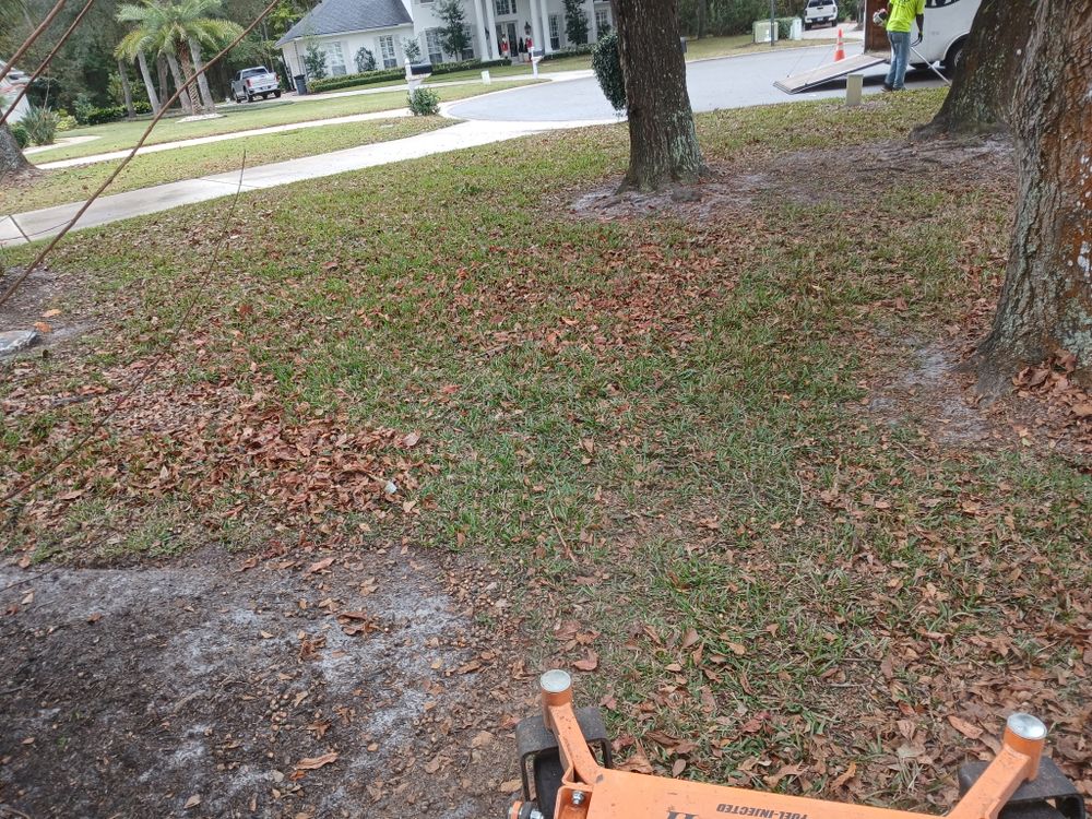 All Photos for Whole 9 Yards Services in Green Cove Springs, FL