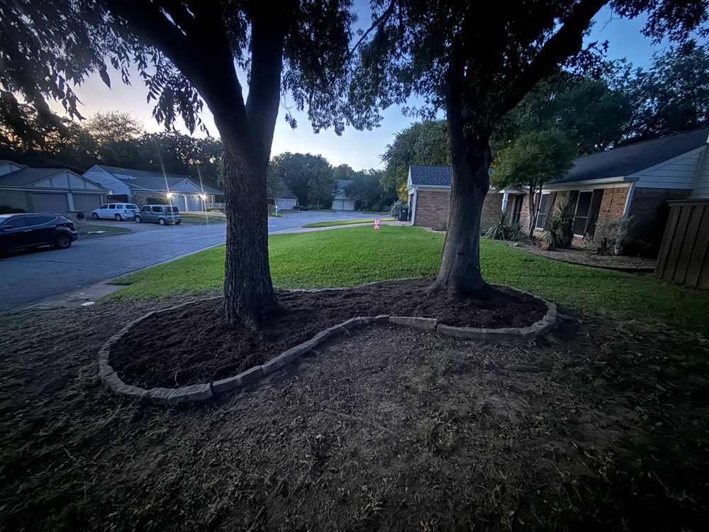 All Photos for Blu-J Tree Care in Arlington, TX