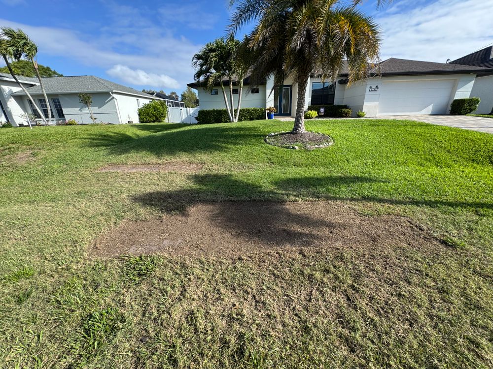 All Photos for BH Lawn and Landscape in Fort Myers, FL